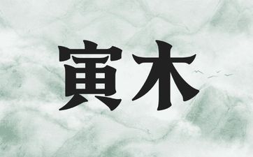 喜用神为金水如何旺自己