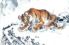 鸡狗虎在一家存在什么问题如何化解