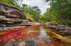 丙午天河水八字纳音