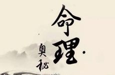 属猪人婚姻和命运