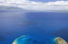 1982年大海水命的命运如何