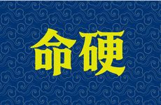 属虎的人命硬吗？