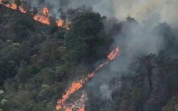 为什么山头火命不好？