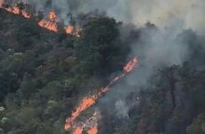 为什么山头火命不好?