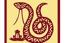 蛇男比女鸡大四岁好吗