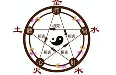 申猴年五行属什么