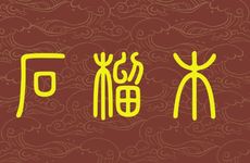 石榴木命适合去哪个城市发展