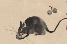 96年的老鼠是水还是火