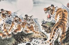 95猪98年虎婚配穷一辈子