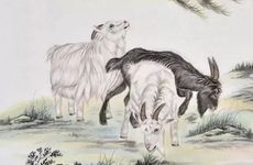 1979年出生的羊是什么命