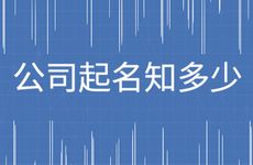 电脑技术有关的公司名字怎么取