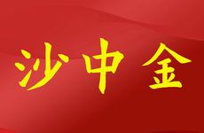 女长流水命和男沙中金命婚配如何