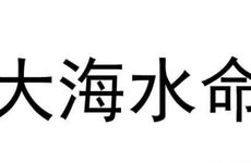 八字纳音看癸亥大海水命女人