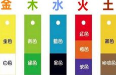 2025年12月6日五行穿衣指南