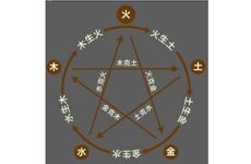 五行属金的生肖有哪些