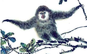 2004年属相猴婚配怎么样？