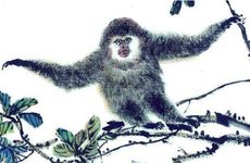 2004年属相猴婚配怎么样？