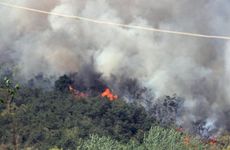 95年山头火命五行缺什么