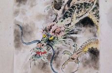 兔龙之间难道不合吗?