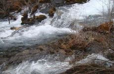 属龙长流水命的人适合住在11楼吗