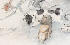 兔男与女狗再婚合适吗