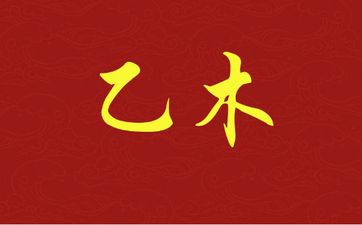 乙木生于冬至前与冬至后的区别