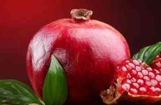 1980年属猴人石榴木命女进门挂什么画好