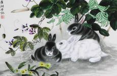 2011年几月兔最有福气