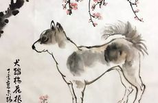 兔子和狗属相合不合