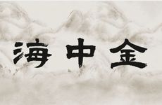 1984年属鼠海中金适合从事什么行业