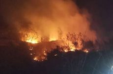 1995山头火命最佳婚配伴侣