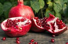 石榴木命的人最适合的发展方向