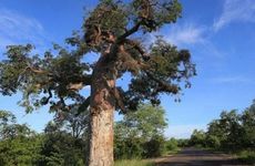 家中多余的餐具应该不超过多少为好