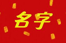 属龙土命的人开店起名字