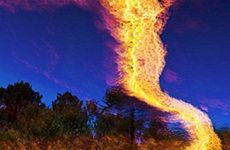 1979年天上火命羊女贵人