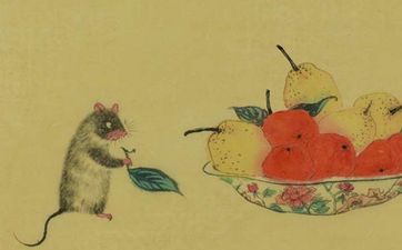 鼠兔相冲反而大吉