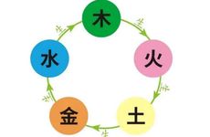 乙巳年五行属性