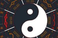 属鸡人一生命运怎么样