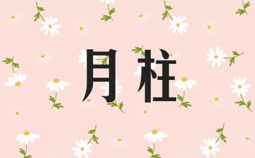 日柱月柱天合地合看姻缘