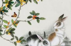 兔与狗是上上婚配