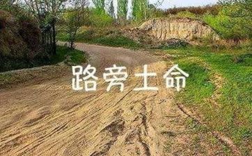 1990年路旁土命为什么能早婚