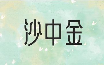男沙中金配女石榴木命八字五行不相合