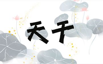 寅卯辰三会木局能克天干七杀吗