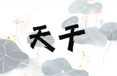 寅卯辰三会木局能克天干七杀吗