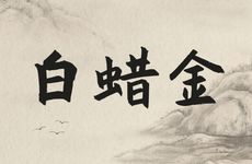 2000年出生属龙白蜡金命