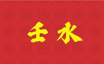 壬水生于亥月水旺八字运势