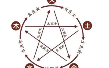 1991属羊五行属土命缺什么