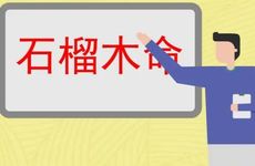 80年石榴木命的人的发展命运