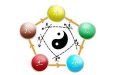 2004年属猴人属什么金木水火土