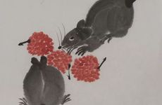 96年女鼠不能找啥属相